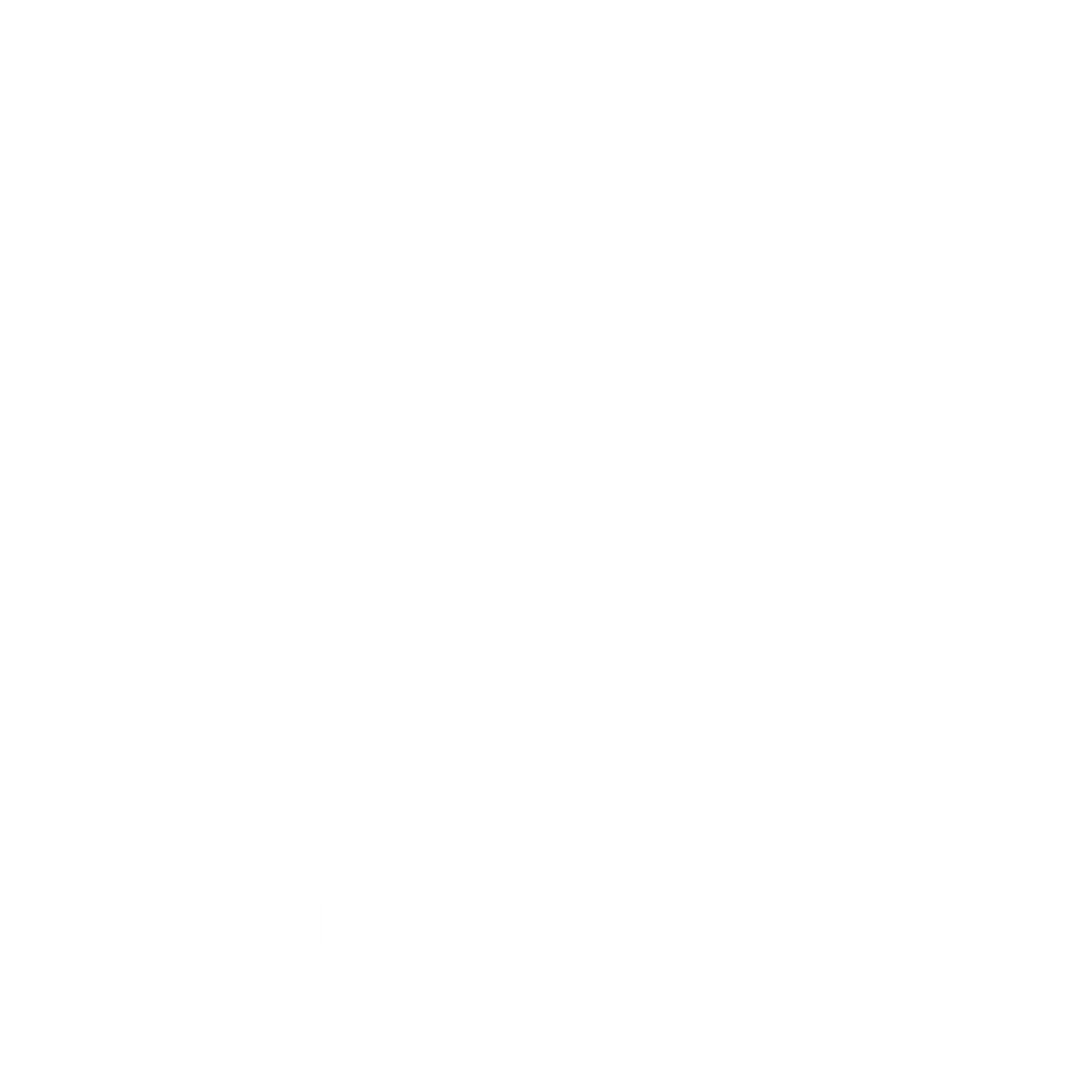 Nysernet stacked logo