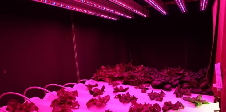 Featured Image by RPI and Cornell developing farming techniques for cities