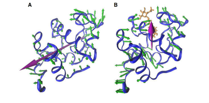 Featured Image by Researchers study protein motion as way to fight disease