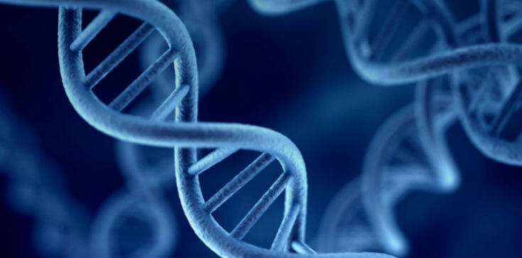 Featured Image by New tool to study genetic mutations