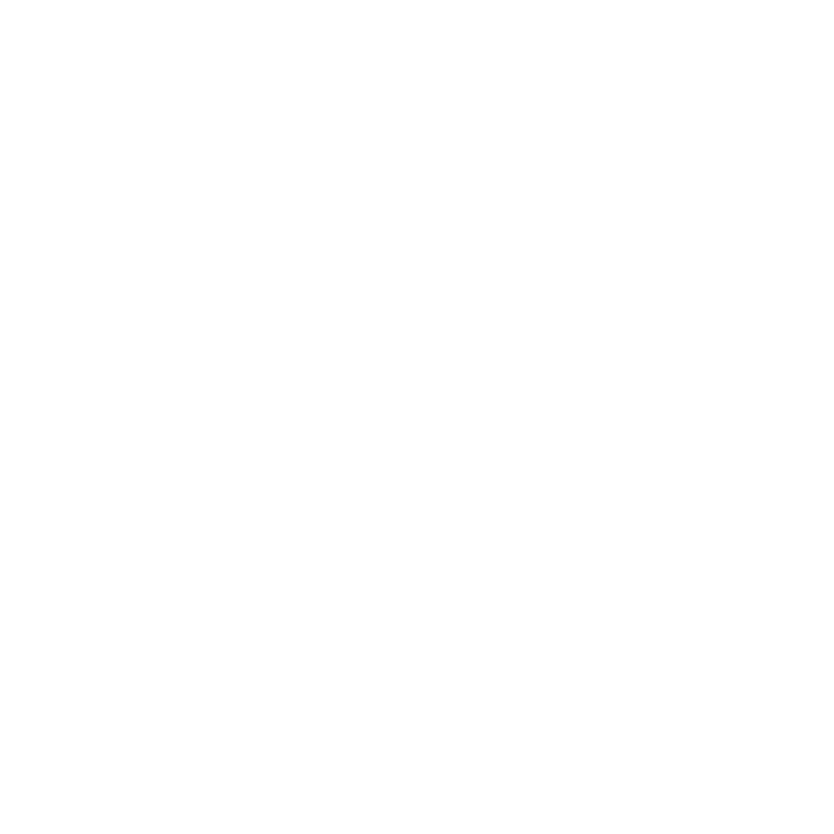 Nysernet stacked logo